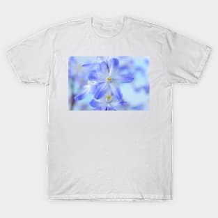 Chionodoxa forbesii  &#39;Blue Giant&#39;  Glory of the snow T-Shirt